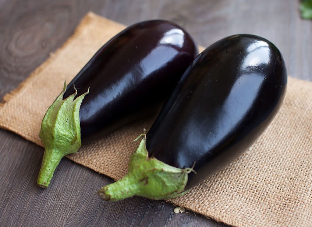 Aubergine kweken