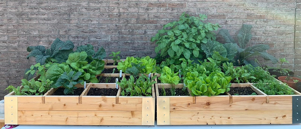 Makkelijke moestuin