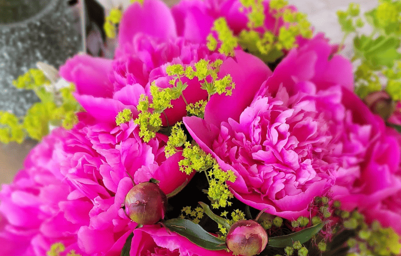 waarom kiezen voor wild bloemenzaad