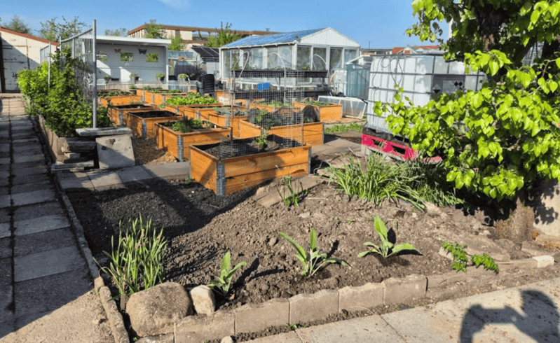 wat kun je verwachten van biologische zaaigoed