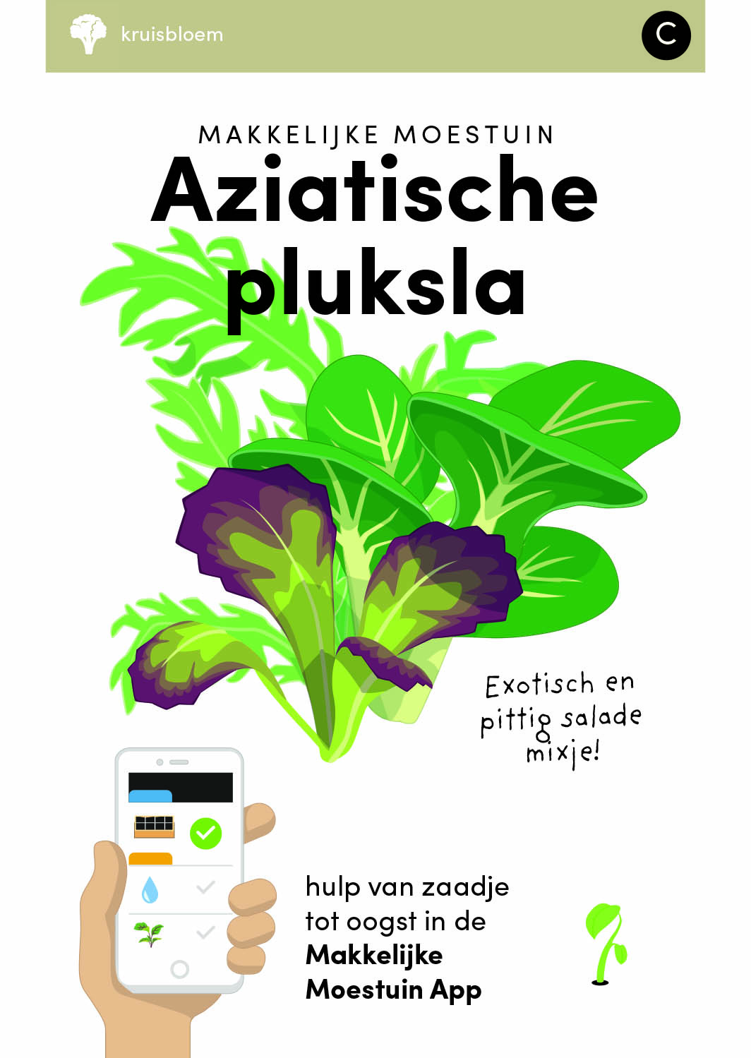 Afleiden comfortabel drijvend Makkelijke Moestuin zaden Pluksla Baby Leaf Snelle levering!