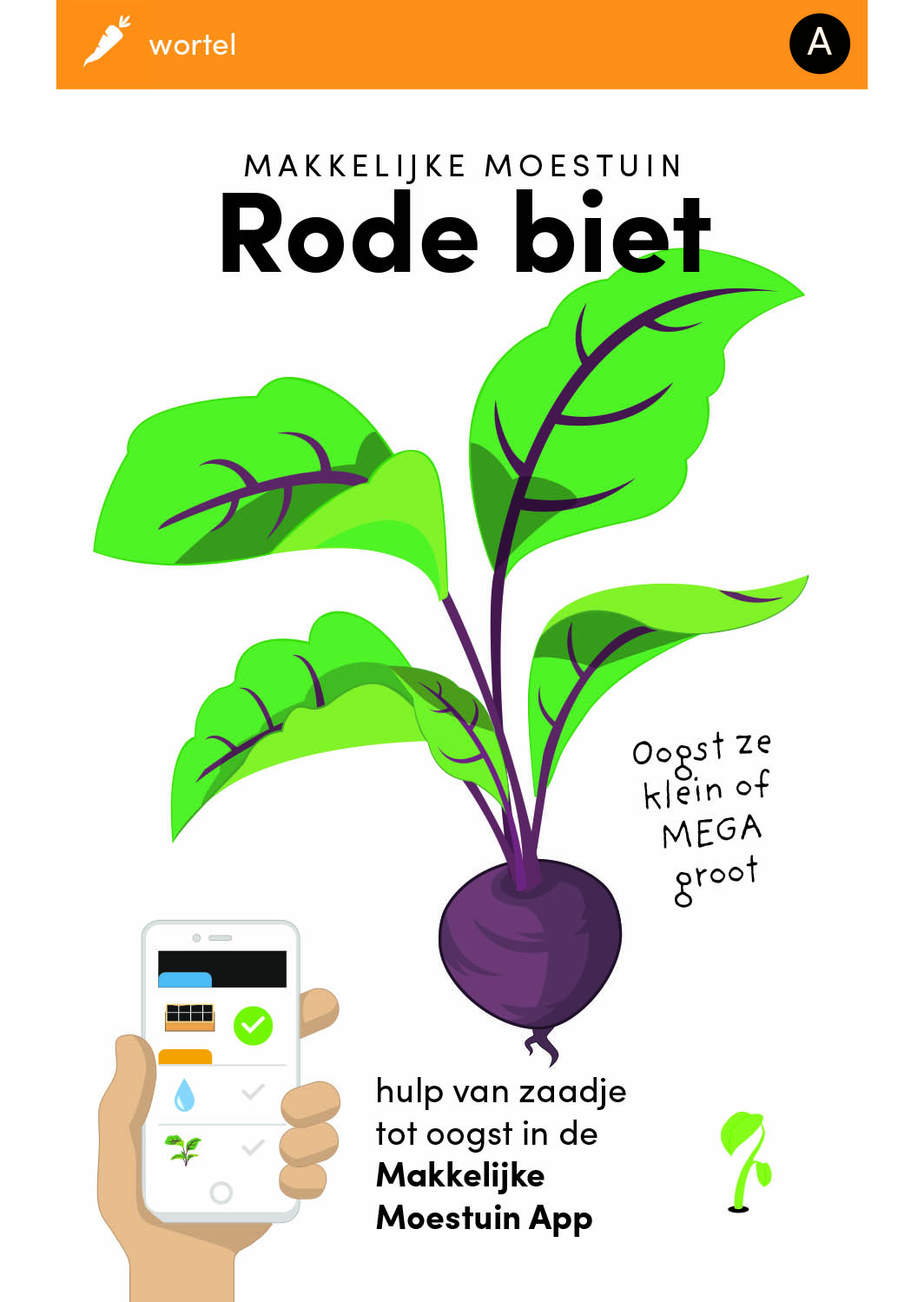 Danser naar voren gebracht regenval Makkelijke Moestuin zaden voor Bieten? De lekkerste Rode Biet!