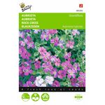 Aubrietia Blauwkussen Gemengde kleuren