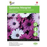 Spaanse Margriet zaden