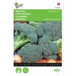 Broccoli Marathon F1 hybride
