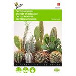 Cactus Mengsel van vele soorten