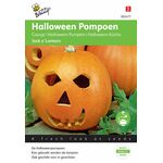 pompoen zaden kopen