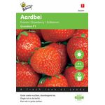 Aardbeien Grandian F1 hybride