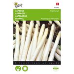 Asperge Argenteuil