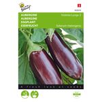 Aubergine Lange Violette