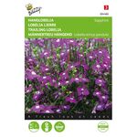Lobelia Saphir blauw met wit oog (Hanglobelia)