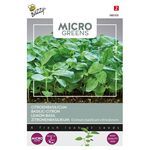 Microgreens Citroenbasilicum