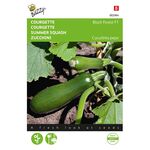 Courgette Black Forest F1 hybride (Klim Courgette)