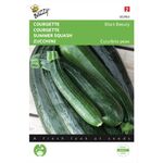 Courgette black beauty, lange groene