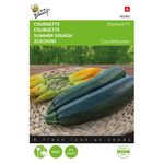 Courgette Diamant F1 hybride