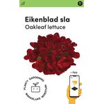 Makkelijke Moestuin Eikenbladsla PRO 'Xandra'