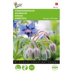 Komkommerkruid of Borage