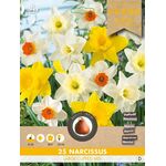 Narcissen bloembollenmix Promo pack 25st.