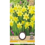 Narcissen bloembollen Geel Tete a Tete 8st.