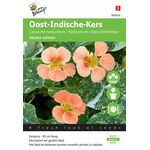 Oost Indische Kers Alaska Salmon