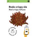 Makkelijke Moestuin Zaden Rode pluksla Crispy Red PRO