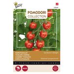 Pomodori Kerstomaat Gardener’s Delight