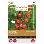 Pomodori Kerstomaat Gardener’s Delight