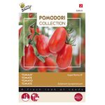 Pomodori Tomaten Super Roma VF