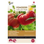 Pomodori Tomaten Bistecca F1