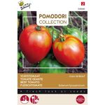 Pomodori Tomaten Cuor Di Bue