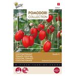 Pomodori Tomaten Ravello F1 cocktailtomaat