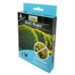 Topbuxus Anti Rups
