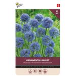 Allium Bloembollen Blauwe Look Sierui bollen 12 st.