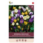Krokus Bloembollen Botanische Mix 20st.
