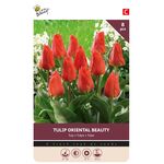 Tulpen bloembollen Oriental Beauty 8st.