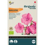 Biologische Bekermalva Zaden 'Roze-Rood'