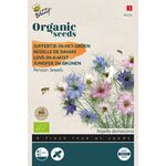 Juffertje-in-het groen 'Persian Jewel'