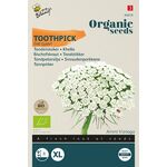 Biologische Tandenstoker Zaden 'The Giant'