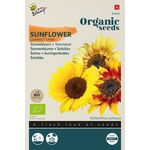 Biologische Zonnebloem Zaden 'Compact Spray'