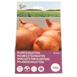 Plantsjalotten Biztro met capper 250gr