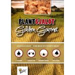 Plantsjalotten 'Golden Gourmet' 500gr