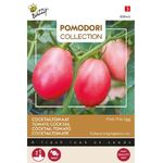 Pomodori Tomatenzaden 'Pink Thai Egg'