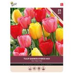 Tulpenbollen 'Darwin Gemengd' 25st.