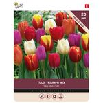 Tulpenbollen 'Triumph Mix' 20st.