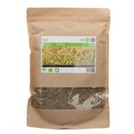 Groenbemester Zaden Winterrogge 1kg