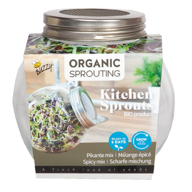 Kweekpot Spruitgroente Glazen pot + Proefzakje Pikante salade