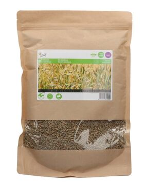 Groenbemester Zaden Winterrogge 1kg