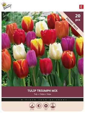 Tulpenbollen 'Triumph Mix' 20st.