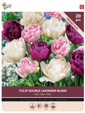 Tulpenbollen Double Lavender Blend 20st