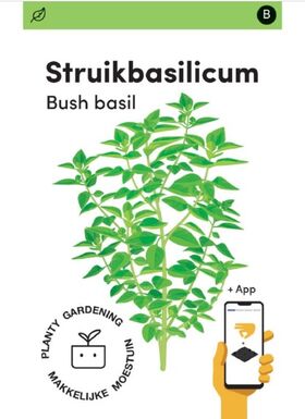 Makkelijke Moestuin zaden Struikbasilicum Bascuro